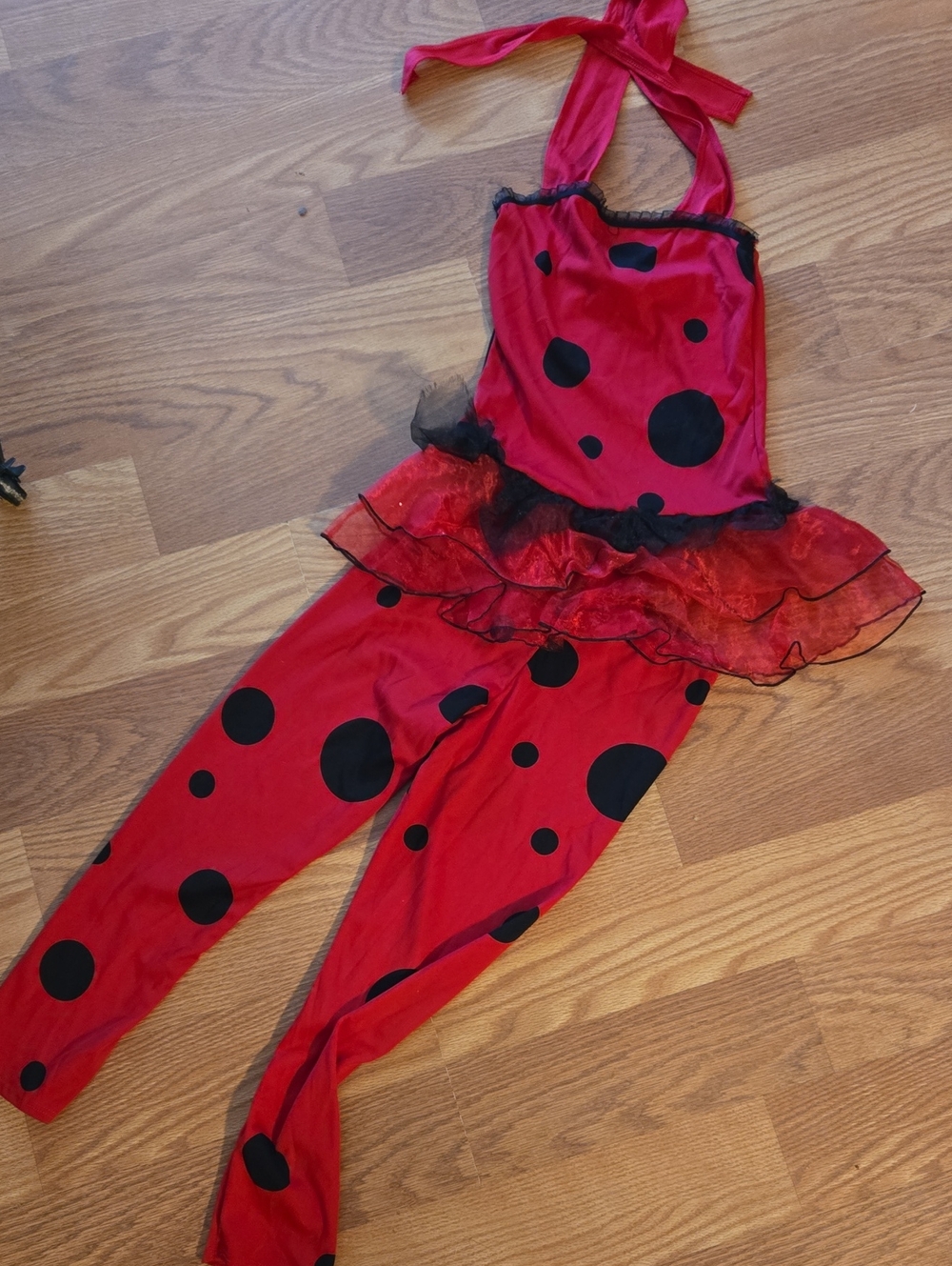 Kids Ladybug Costume